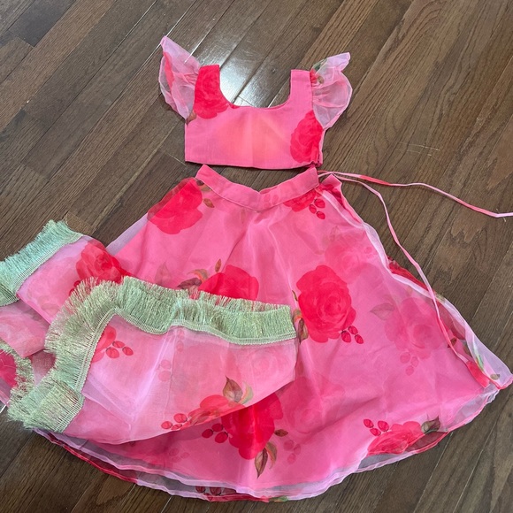 NWT Toddler Matching Lehenga and Choli Dress Set - Picture 4 of 9